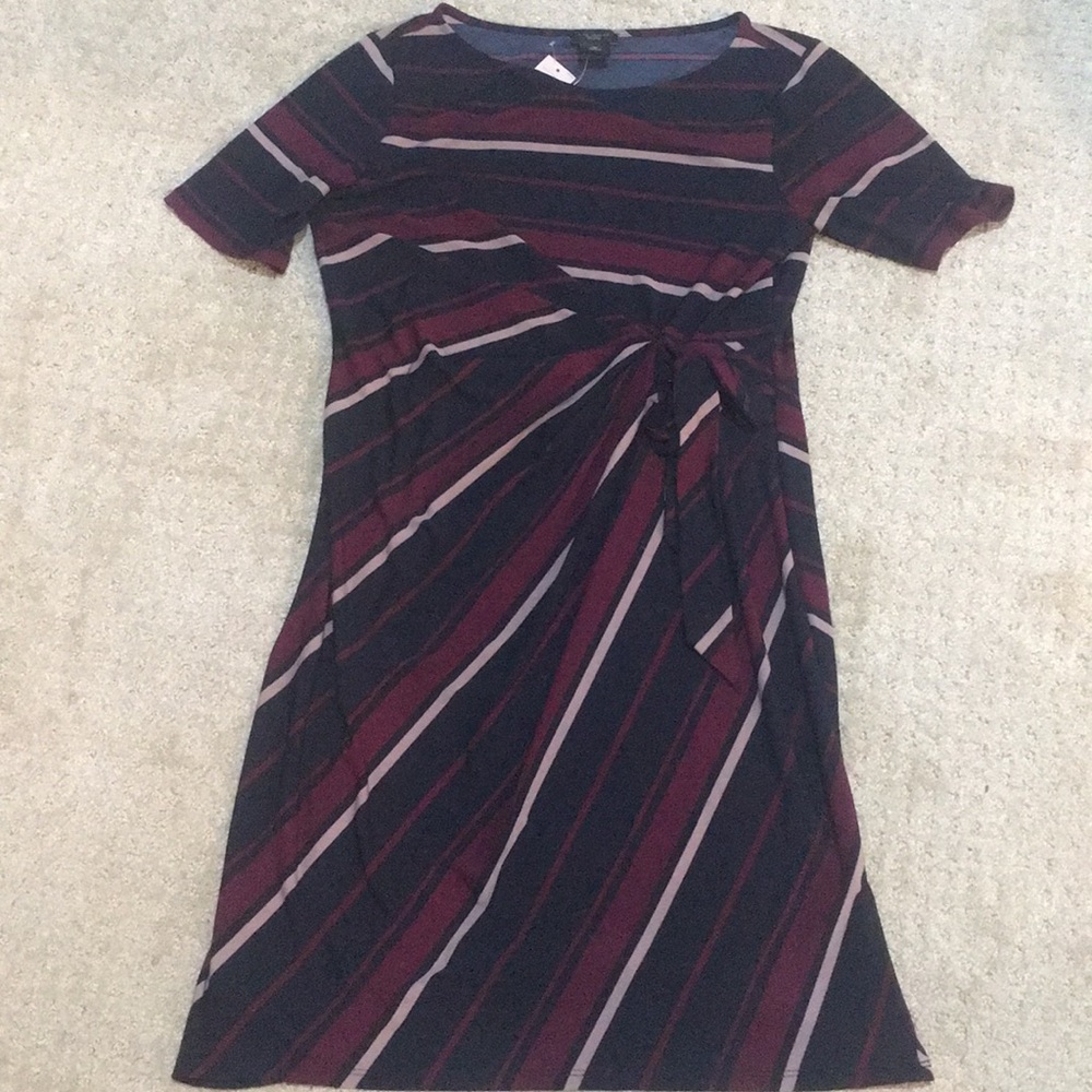 Ann Taylor Factory Dress